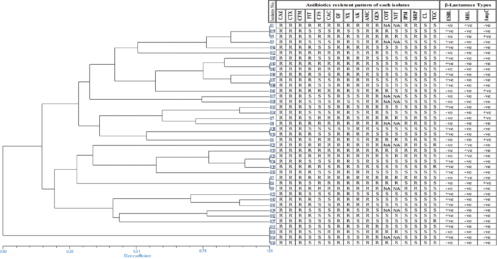 Phylogenetic relationships among Escherichia coli isolates generated using UPGMA based on dice coefficients method derived from analysis of the ERIC-PCR profiles. Antibiotic resistance profile and β-lactamase type are also shown. R: Resistant, S: Sensitive, NA: Not applied, +ve: Positive, −ve: Negative.